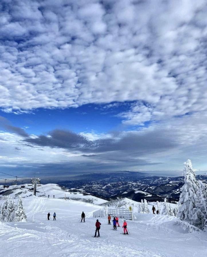 K19 Milmari Resort & Spa Kopaonik Ngoại thất bức ảnh